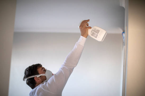 Best Professional Mold Removal  in Flowing Wells, AZ